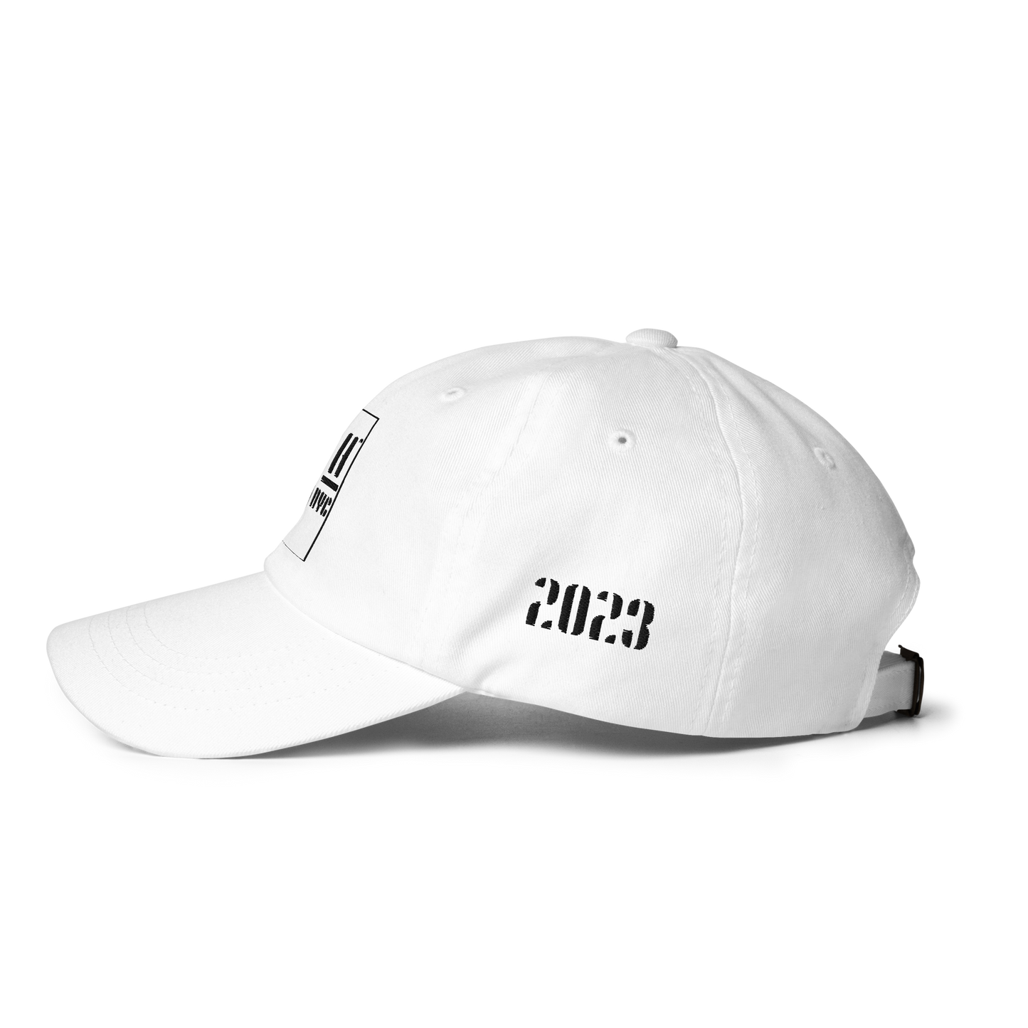 Same Ish, Different Year Hat