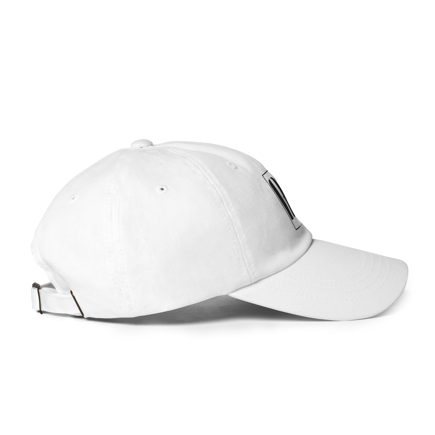 Same Ish, Different Year Hat