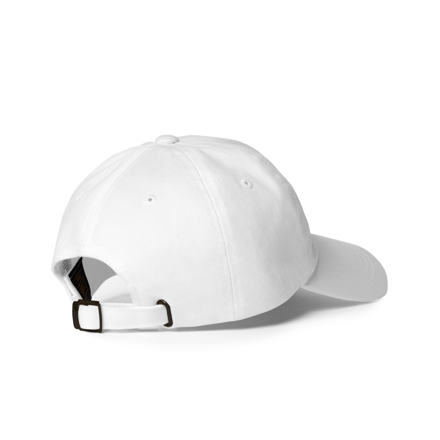 Same Ish, Different Year Hat